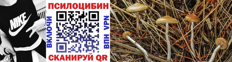 Галлюциногенные грибы MAGIC MUSHROOMS  как найти наркотики  Остров 
